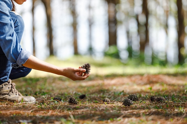 pine in hand toeristen