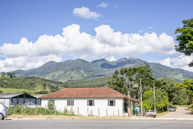 Photo pine mines general brazil