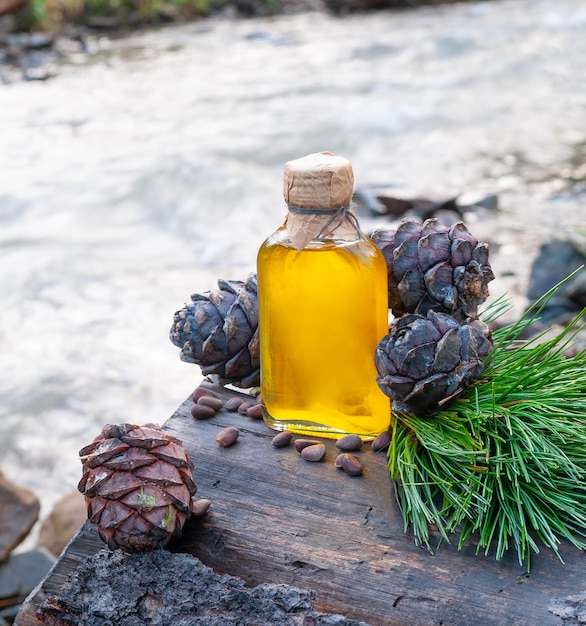 Pine nut oil in a glass bottle Stands on a tree stump Nearby are pine cones branches and nuts Mountain river background