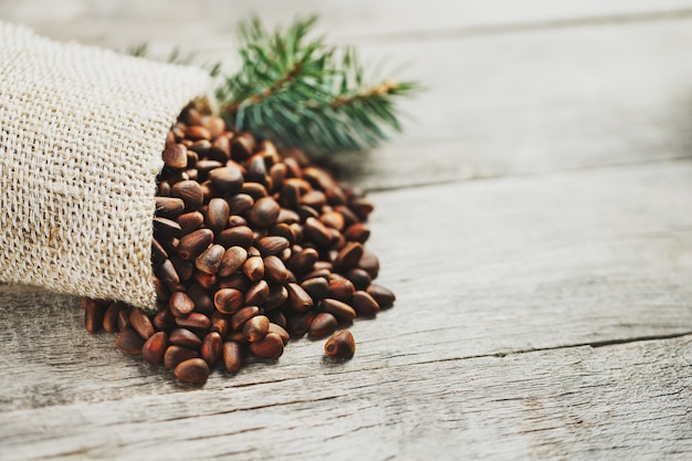 Pine nuts in a bag of burlap with a fir green branch. In country style.