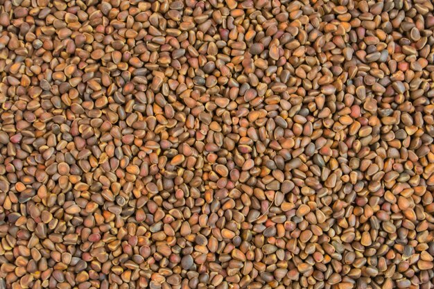 Pine nuts (seeds of Siberian pine). Background.