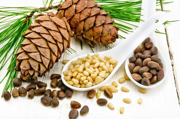 Pine nuts in two spoons, two cedar cones and green branches on a white wooden board background