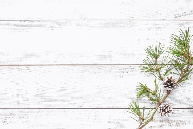 Pine tree branch on white wooden background for winter holidays designs flat lay copy space