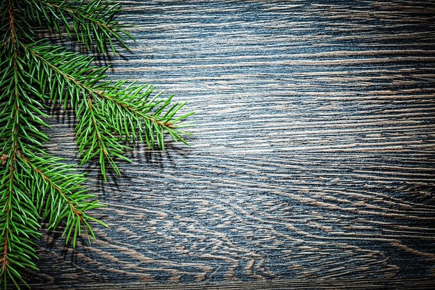 Pine tree branch on wooden board