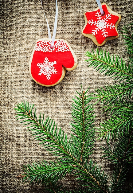 Pine tree branches Christmas gingerbread biscuits on bagging background