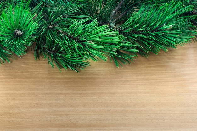 Pine tree branches over wooden background, top border with text area