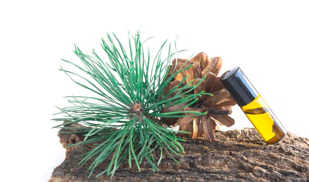 Pine twig, pinecone and bottle on white background