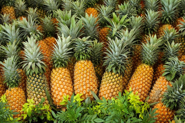 Pineapple background/ hawaiian pineapples background