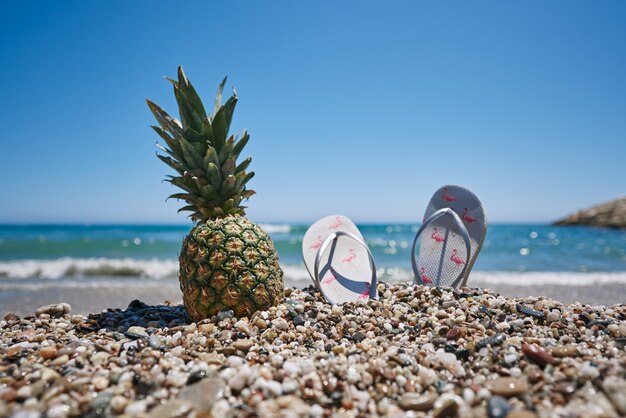 Pineapple and a beach flops on the seashore