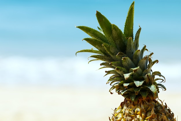 Foto ananas sulla spiaggia