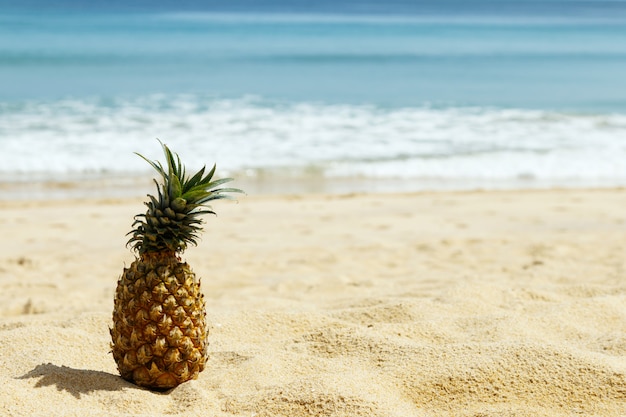 Premium Photo | Pineapple on the beach