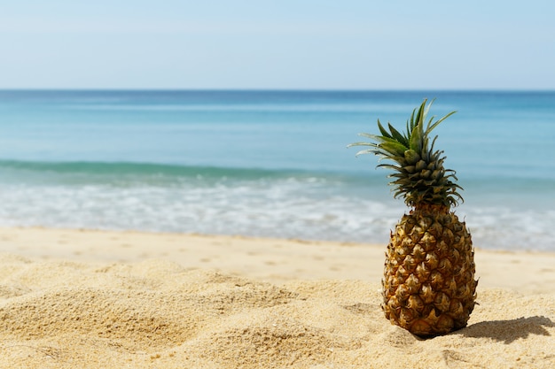 Pineapple on the beach