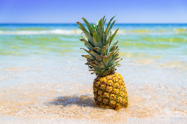 Pineapple on the beachpineapple fruit in the sea wavessummer vacation concept