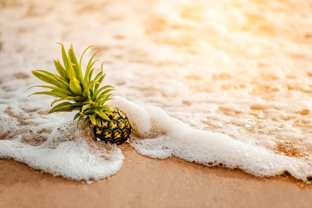 Pineapple on the beachTropical summer delights Fresh pineapple on the beachPineapple on hawaii beach with soft wavePineapple on soft wave at summer in Hawaii beach