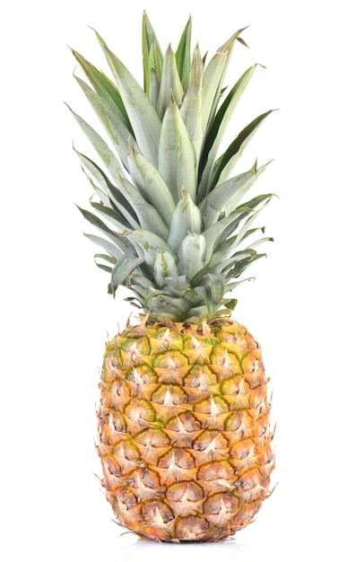 Pineapple fruit