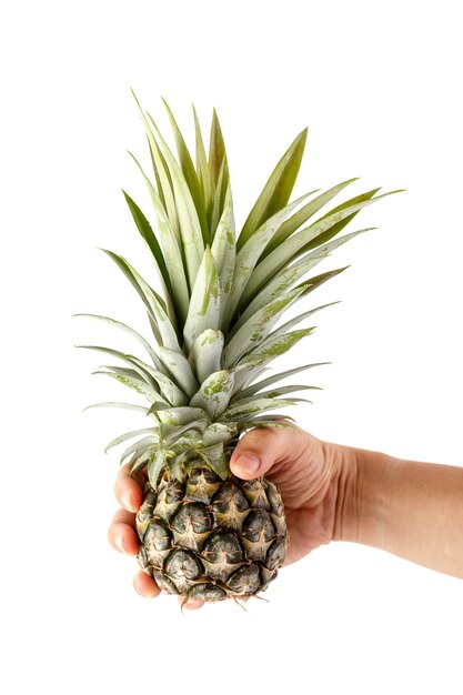 Pineapple on hand with white background 