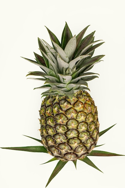 Pineapple is a fruit that has a sweet aromatic flavor and is very tasty