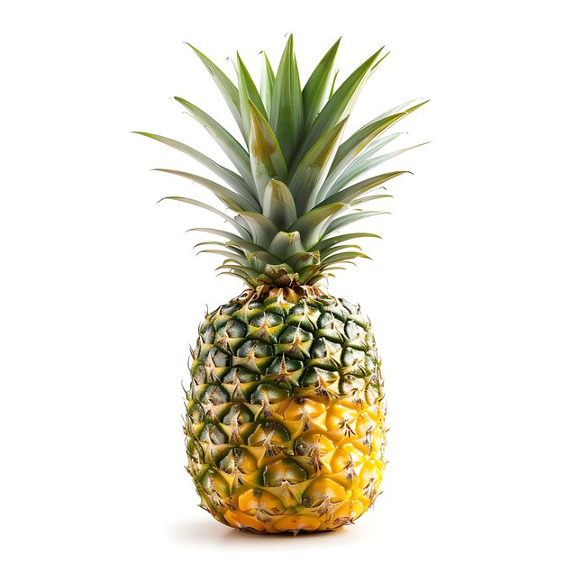 a pineapple is shown on a white background