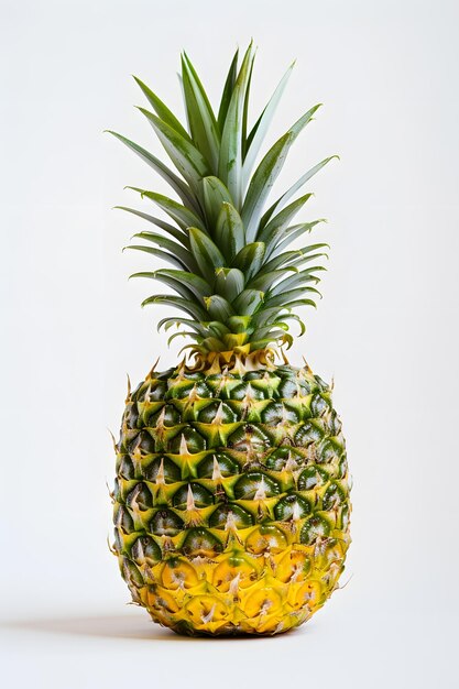 Pineapple isolated on white background studio shot