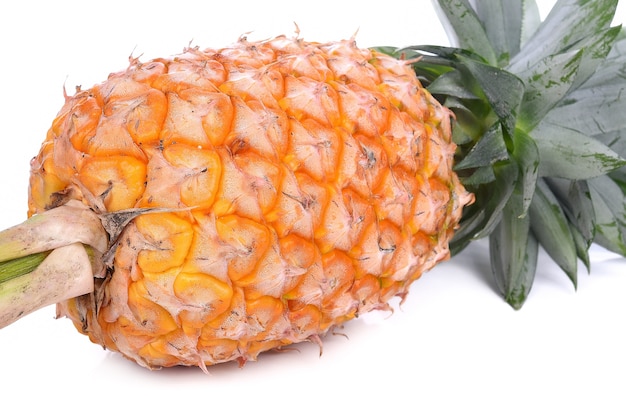 Pineapple isolated on white background