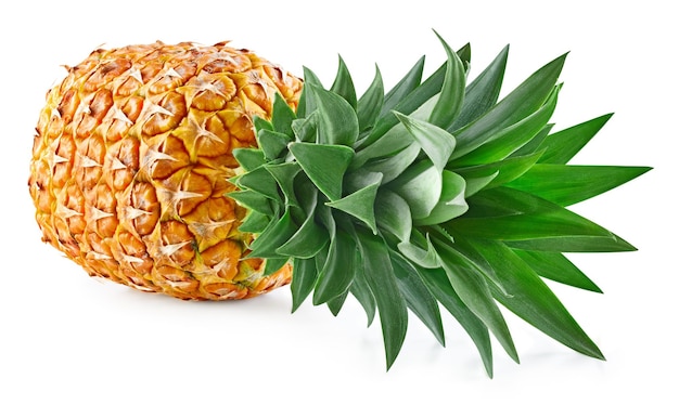 Pineapple isolated on white Ripe pineapple Clipping Path