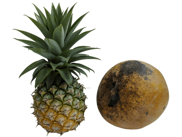 A pineapple and mango on isolated background