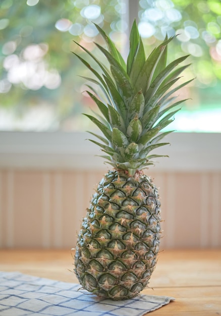 A pineapple sits on a table in front of a window.