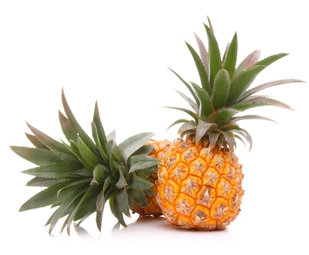 Pineapple tropical fruit or ananas