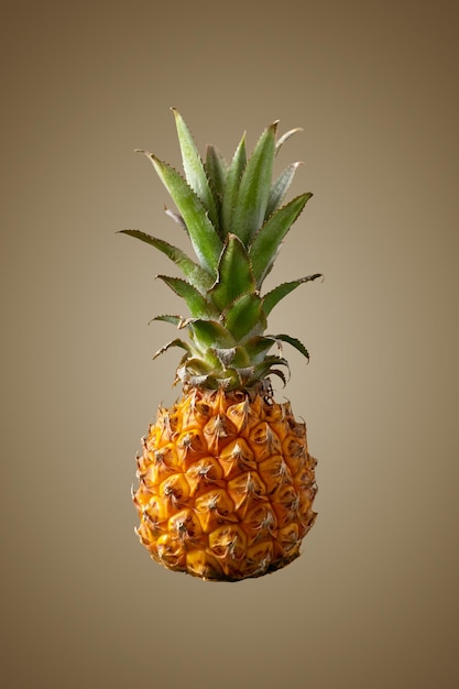 Pineapple tropical fruit on bright background