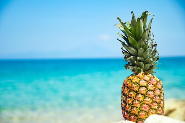 A pineapple in the water by the sea in nature weekend travel