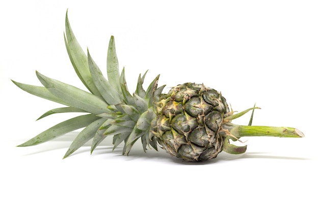 Pineapple on white background,green,Pineapple pie