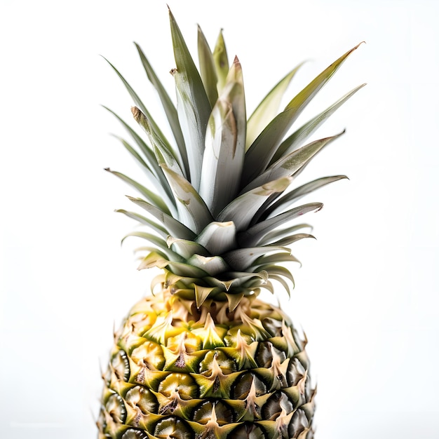 A pineapple with white background