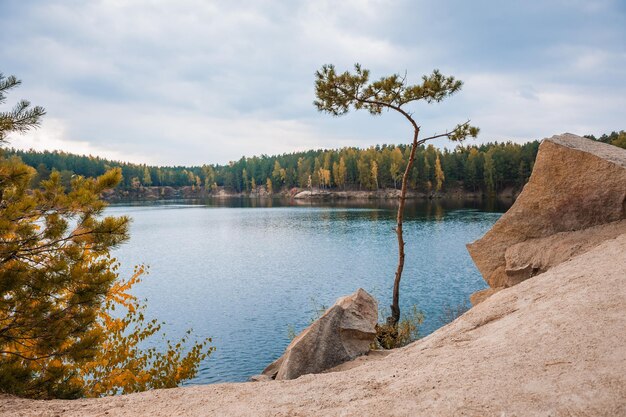 Pines on the rocky shore of the lake. Autumn landscape