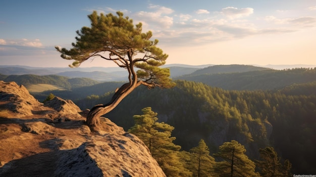 Foto pini che crescono sulle montagne rocciose