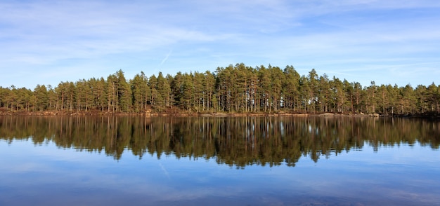 Pineta, pineta riflessa in un lago nel deserto della norvegia, panorama