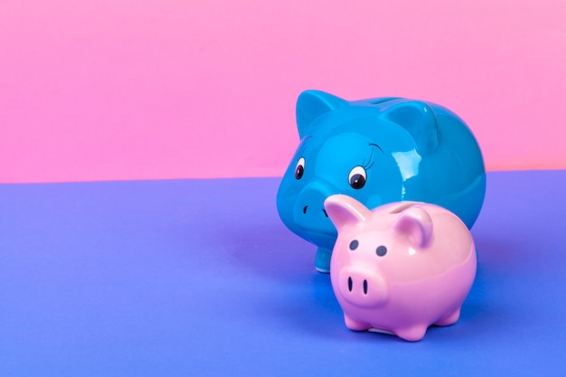 Pinik piggy bank on bright colored 