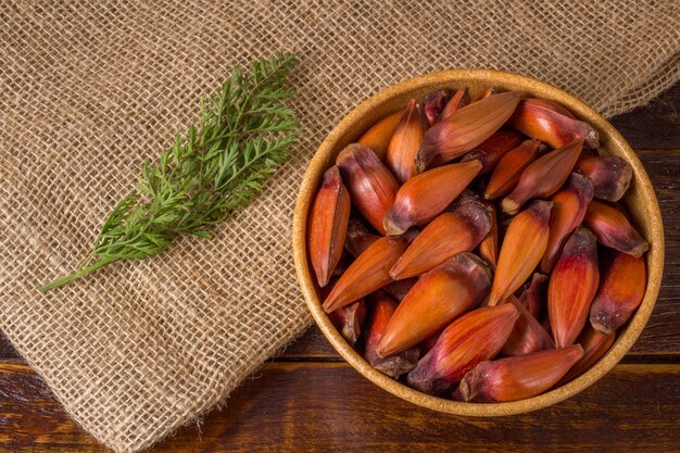 Foto pignone, cibo tradizionale brasiliano, seme dell'auraucaria