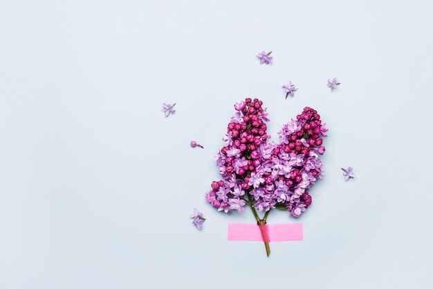 분홍색 접착 테이프는 파란색 배경에 아름다운 라일락 꽃을 붙입니다. 최소한의 창의적인 휴가 개념, 복사 공간.