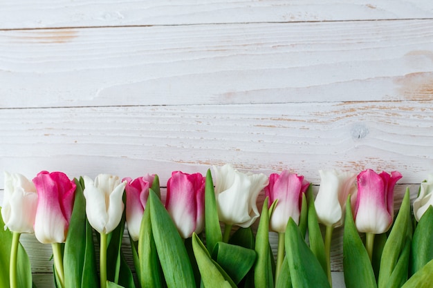 Tulipani rosa e bianchi su superficie di legno bianca