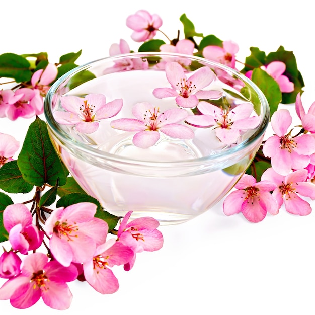 Photo pink apple flowers in a glass bowl with water, isolated on white background