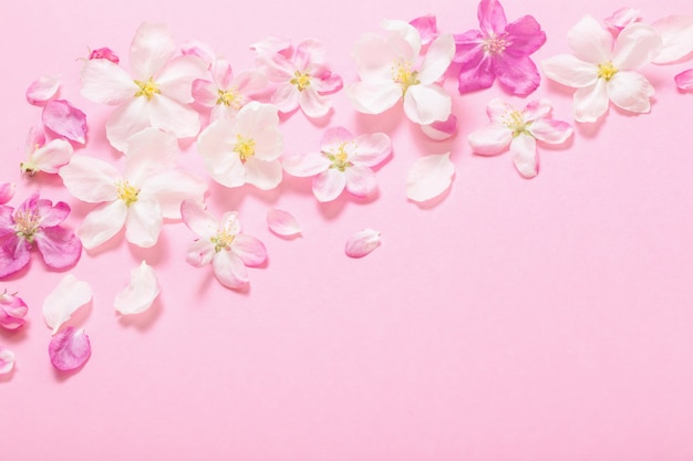 Pink  apple flowers on pink table