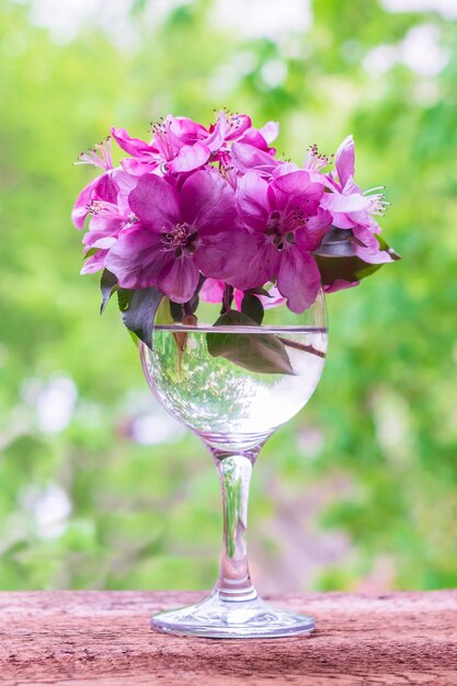 Pink apple tree flowers in a glass vaseSpring season