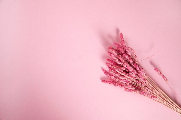 Pink artificial flowers on the pink background