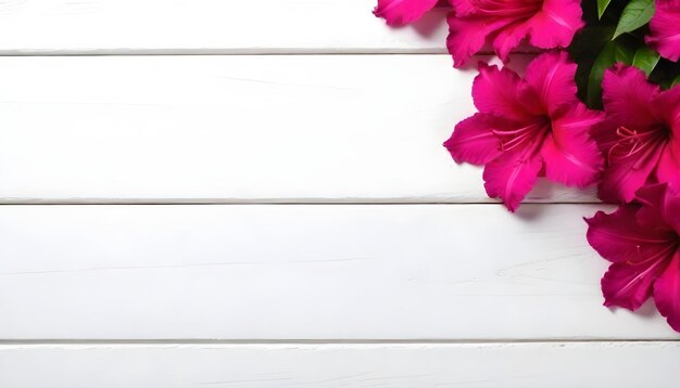 pink azaleas creating a peaceful scene on white wooden surface