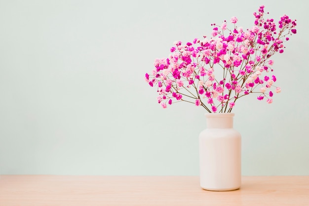 Pink baby\'s-breath flowers in white bottle on wooden desk\
against colored background