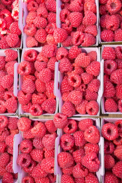 Pink background of Baskets of Raspberries