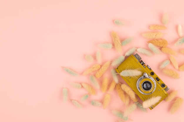 Pink background camera and dry flowers