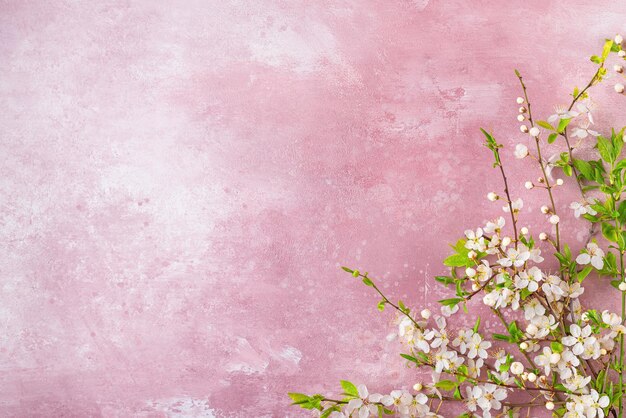 Pink background with a branch of cherry blossoms