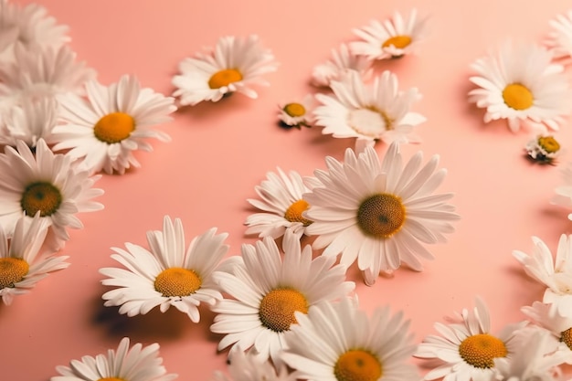 A pink background with daisies on it