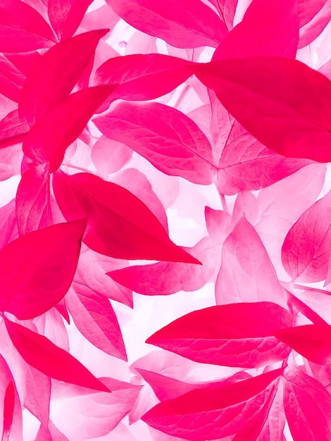 A pink background with leaves and the word love on it